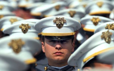 VETS-reporting