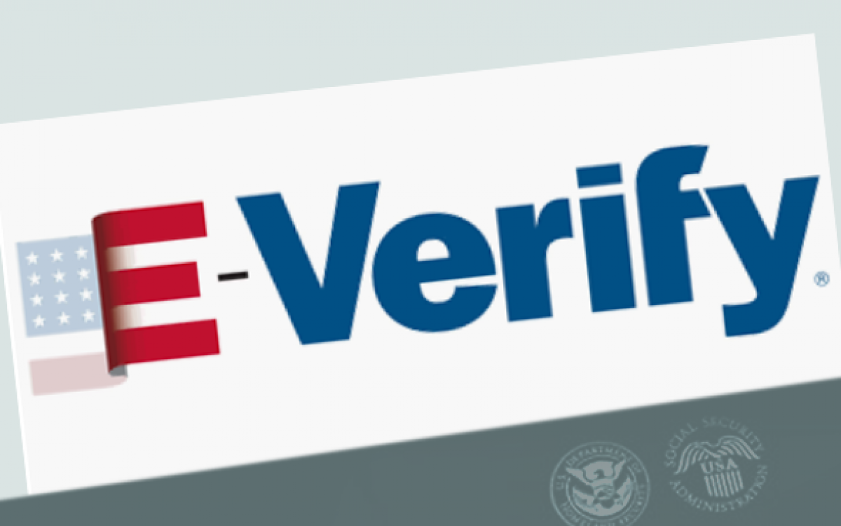 Is E Verify right for You