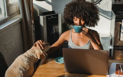 african american female freelancer using laptop and drinking coffee
